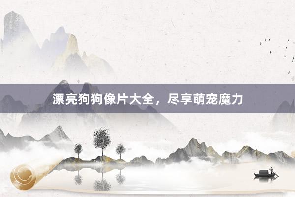 漂亮狗狗像片大全，尽享萌宠魔力